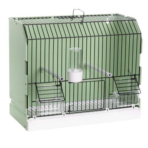 Green plastic show - green,