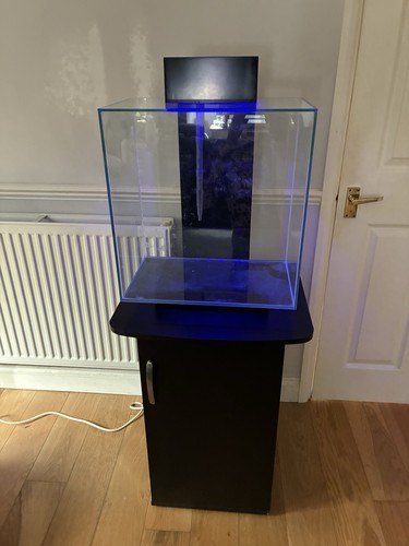 Fluval edge 46l aquarium setup - fluval,