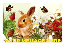  RABBITS / RABBIT  NO 2