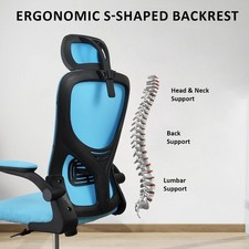 Ergonomic Mesh Office Chair