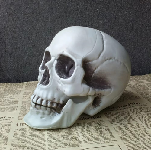 Halloween skull - halloween,