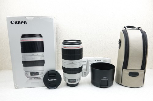 Canon 100 400mm 5 - 100-400mm, f4.5-5.6