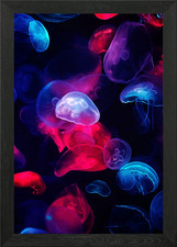 Neon in a jellyfish Framed