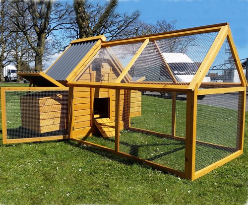 Chicken coop hen - coop, poultry