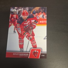 BAYLEY HAREWOOD BASE B-22