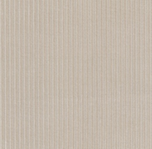 Kvadrat phlox 213 - phlox, for