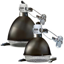 Arcadia Clamp Lamps with