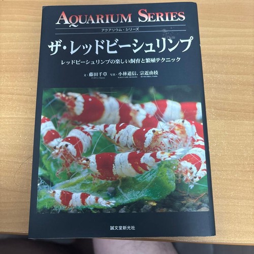 The red bee shrimp - the,