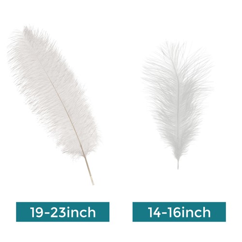 Large ostrich feathers - feathers, plume