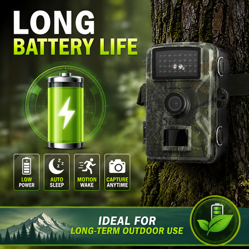 Wildlife trail camera - wildlife,