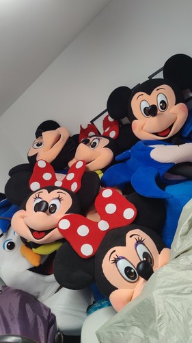 Mickey minnie mouse - mickey,