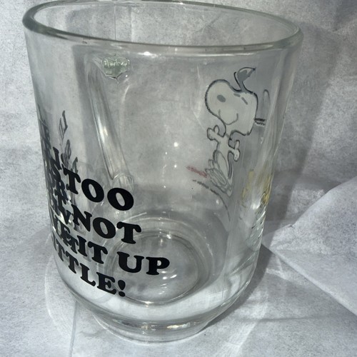 Snoopy penauts glass mug - snoopy, glass/