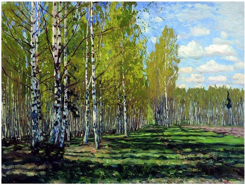 Birch grove trees forest - trees, s