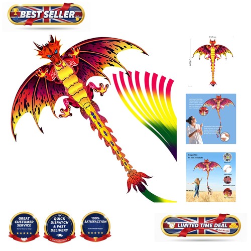 Large rainbow kite with 50m - with,