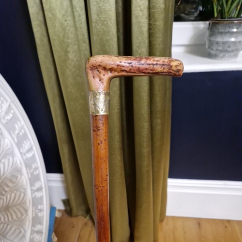 Antique antler horn walking