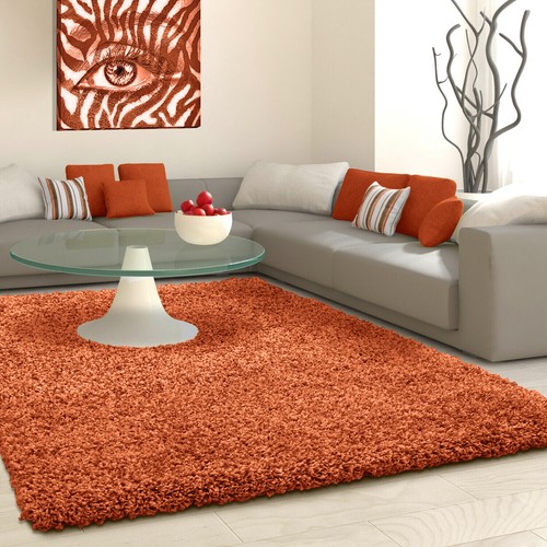 Thick fluffy shaggy rugs - rugs, 5cm