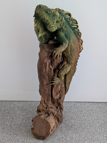 Realistic iguana lizard hand - realistic,