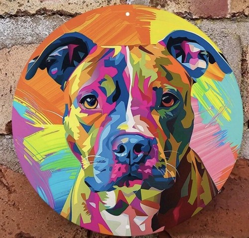 Staffy staffordshire bull - staffy,