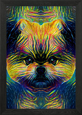 Pomeranian Fantasy Framed Wall