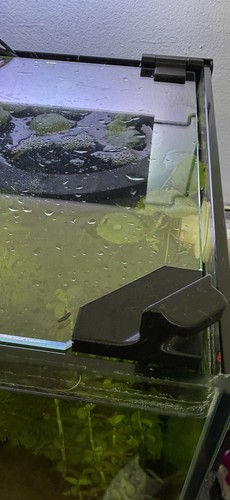 Aquaone focus 36l - aquaone,