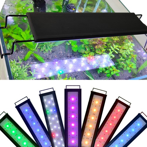 Aquarium light over - light, over-head