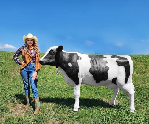 Cow life size - life, statue