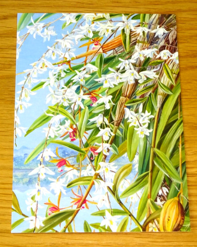 Kew gardens postcard turong - gardens,