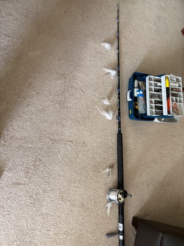 Boat rod and - ,