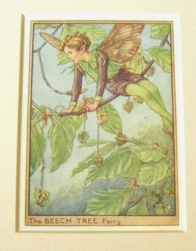 Vintage flower fairies print - vintage, &
