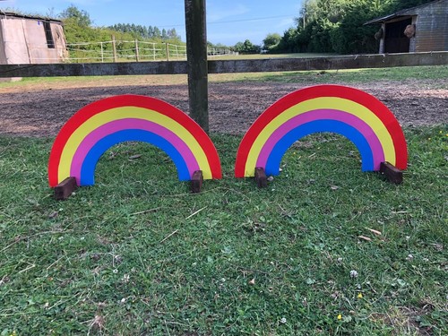 Horse pony pair of rainbow - horse,