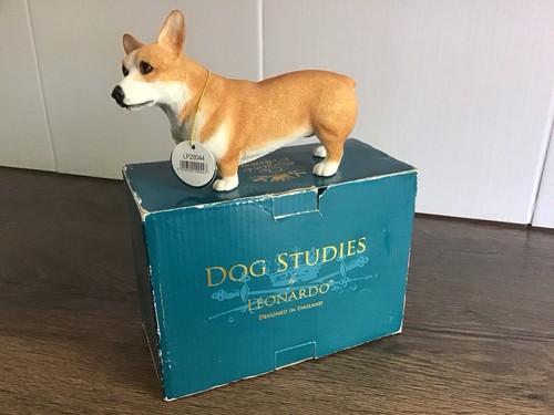 Dog studies the leonardo - dog,