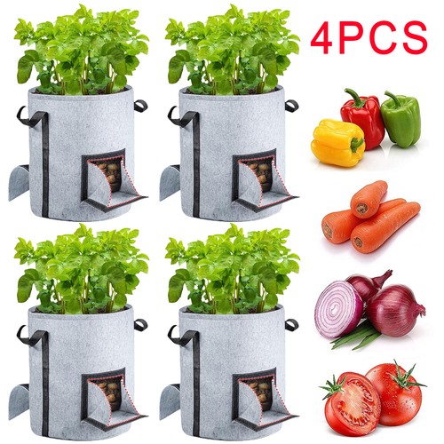 4pcs gallon potato - 15-gallon,