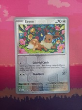 Pokemon Card Eevee Shrouded