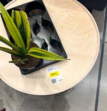 Brand New IKEA BORGEBY Coffee TOP ONLY Birch Veneer 70 cm (27 ½ ") 703.893.56