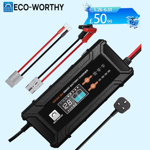 20a 12v 24v lithium lifepo4 - 20a,