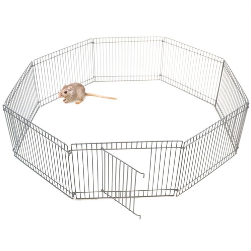 Small pet animal metal - metal, play