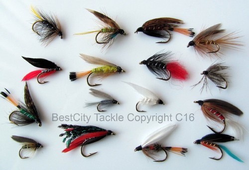 Fly fishing flies wet - flies,