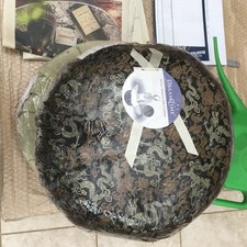 Brand New Dream Time Perfect