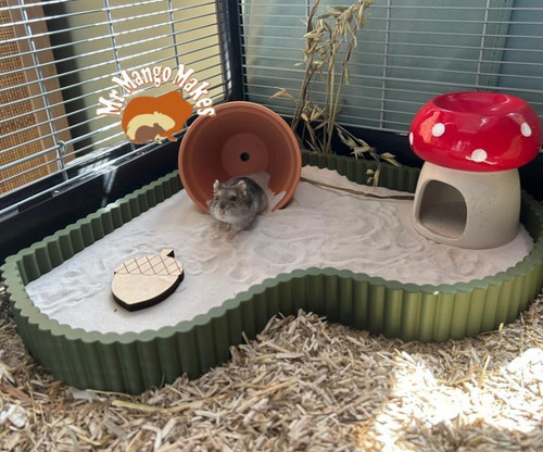 Hamster sand bath - sand, dig