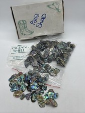 Natural Paua Abalone Shell