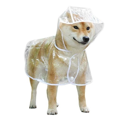 Pet raincoat transparent - pet, dog