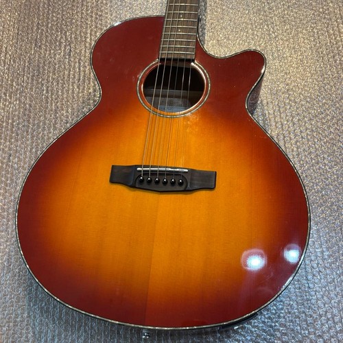 Cort sfx ssb electric - cort,