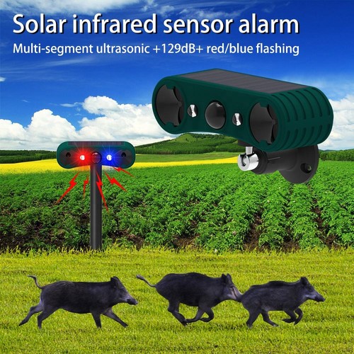 Solar outdoor motion - motion, sensor