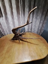 Large Aquarium Driftwood Fish