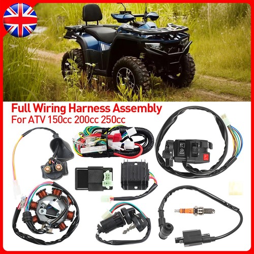 Full wiring harness stator - wiring,