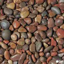 Decorative Coloured Scottish