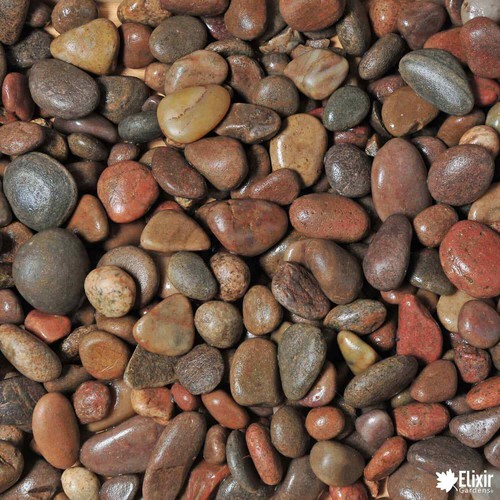 Decorative coloured scottish - decorative,