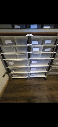 Snake rack with - lp,