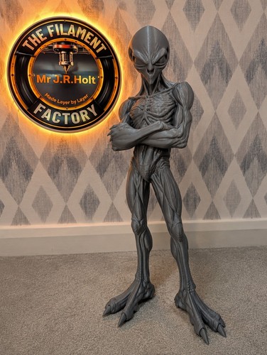 Exclusive grey alien statue - grey,
