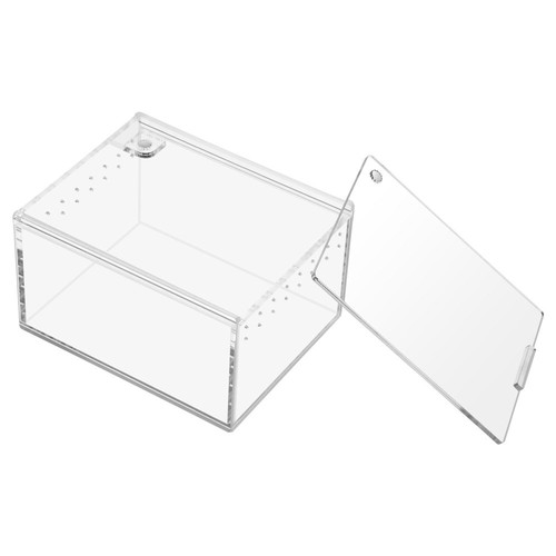Tarantula sling enclosure - tarantula,